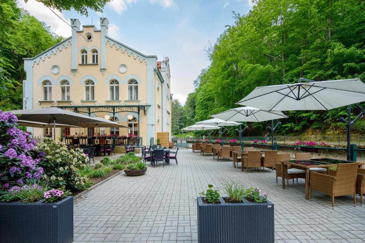 Villa Basileia Riverside Karlovy Vary Bagian luar foto