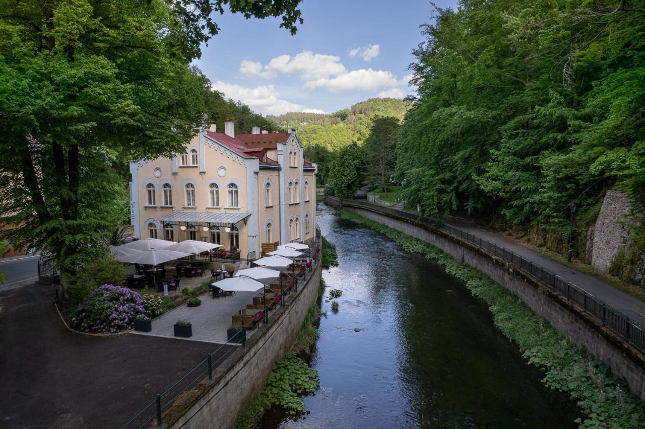 Villa Basileia Riverside Karlovy Vary Bagian luar foto